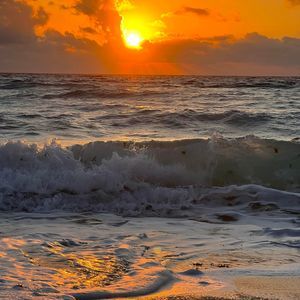 Meet your Posher, Catalina